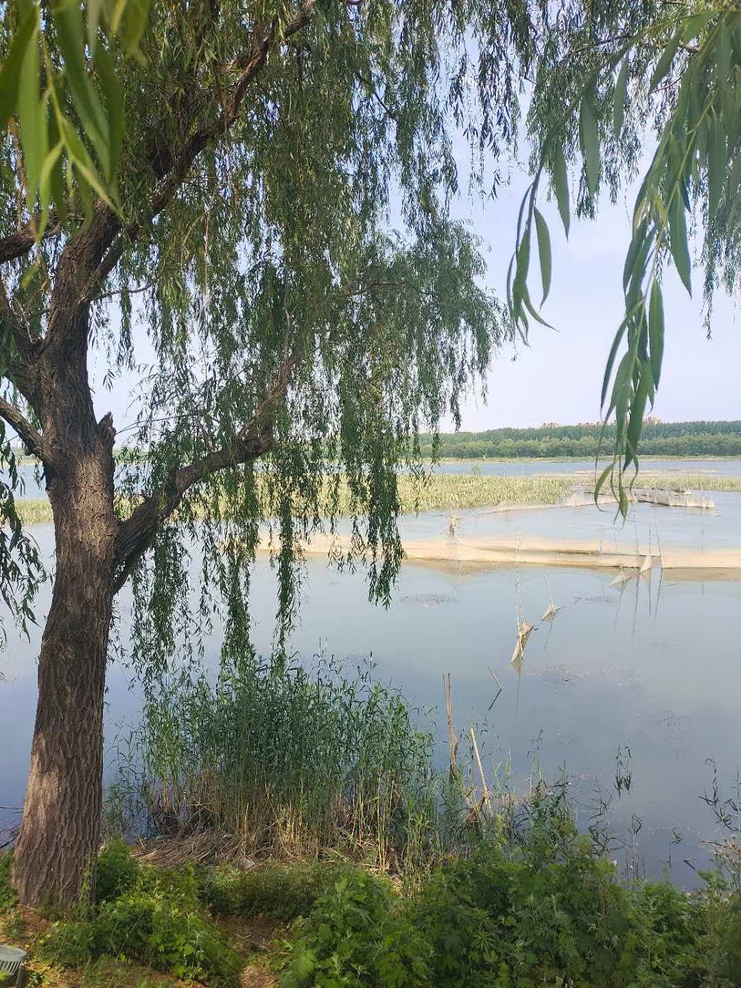 潍坊市