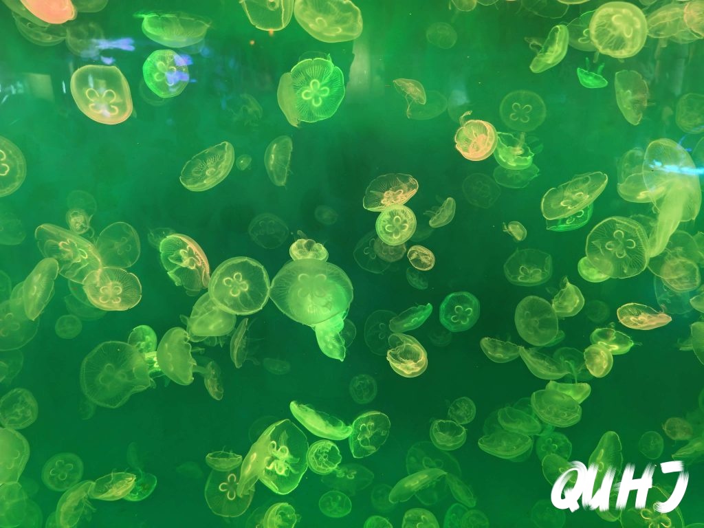 西安海洋馆