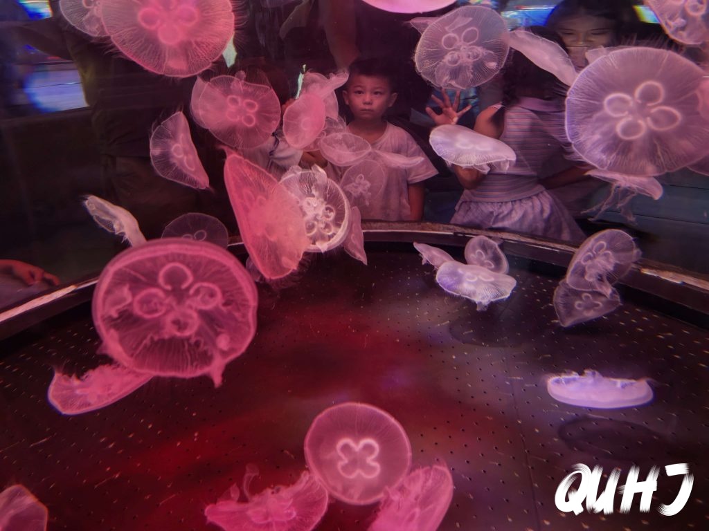 西安海洋馆